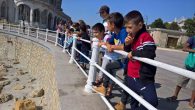 În perioada 6-9 septembrie a.c., PC Pr. Ion IAGĂRU, de la Spitalul Municipal Caracal, a organizat o tabără la litoral, în staţiunea Eforie-Nord, pentru 22 de copii din șase localitaţi […]